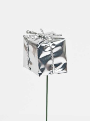 kadopakje-zilver