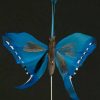 Vlinder op draad - 8 cm - blauw zwarte achtergrond