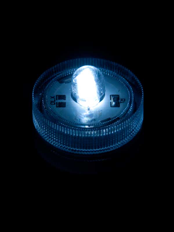 Onderwater LED licht, wit, per stuk Onderwater LED licht, wit, per stuk