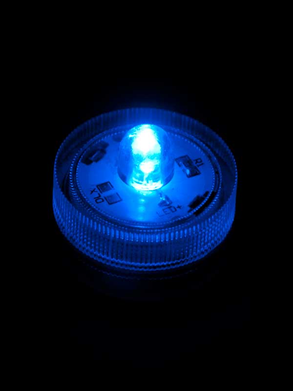LED lichtjes, onder water in een vaas met bloemen LED lichtjes, onder water in een vaas met bloemen