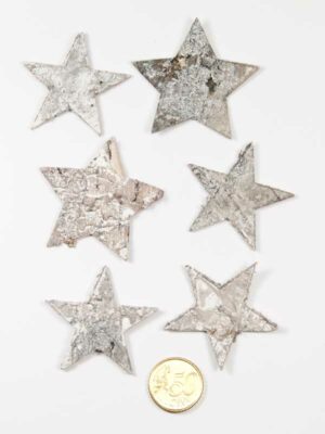 berkenschors sterrenmix vergeleken met 50ct munt