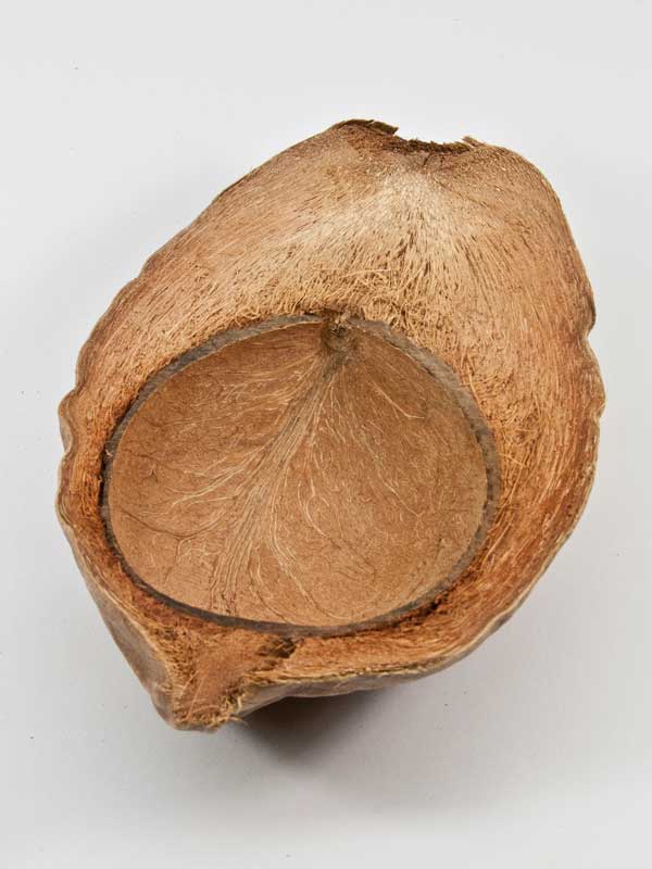 coco nut half