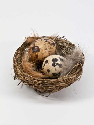 nestje met twee eitjes