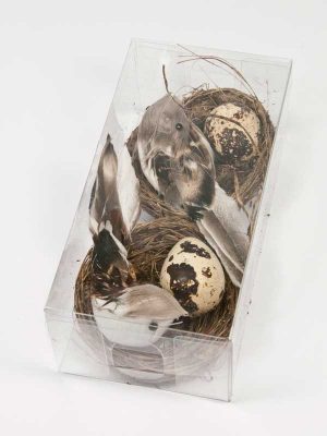 twee nestjes met vogeltje en eitje in doosje