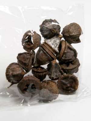 eucalyptus pods 25 gram