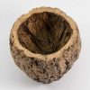 kokosnoot ourico