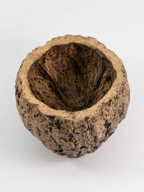 kokosnoot ourico