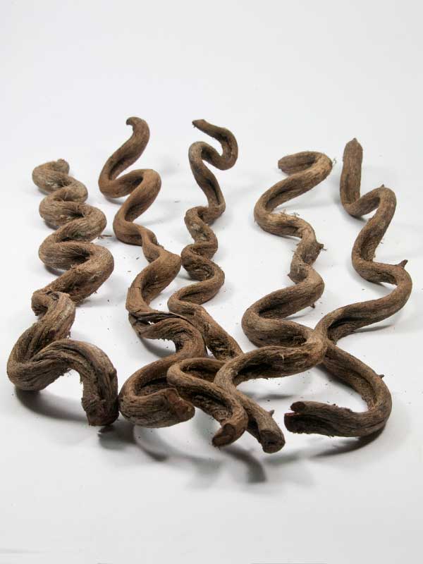 Als een slang kronkelende houten takken, 5 stuks, 35 cm