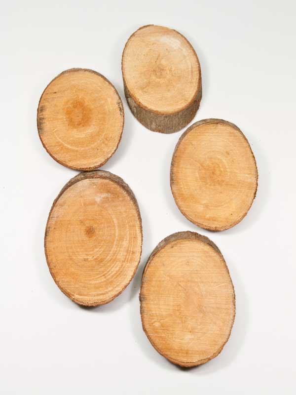 ovale houten schijfjes