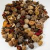 Natuurlijke droogmaterialen mix
