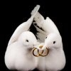 duivenbruidspaar met ringen in hun snaveltjes