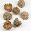 acorn cones decoratie