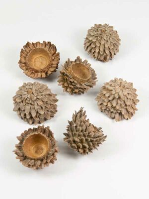 acorn cones decoratie