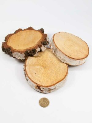 houten schijven vergeleken met 50ct munt