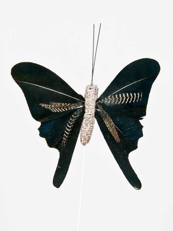 vlinder zwart met grijs