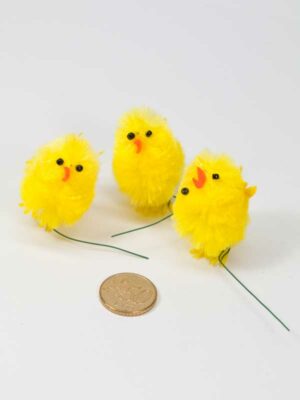 chenillekuikens middelgroot vergeleken met 50 ct munt