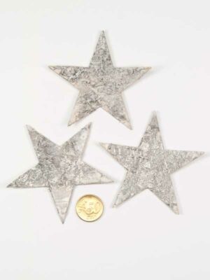grootte van 9 cm berkenschors ster vergeleken met 50 ct munt