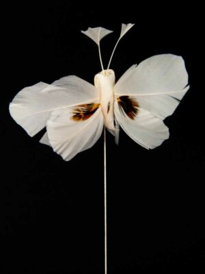 vlinder wit voor decoratie