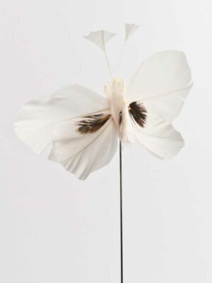 decoratievlinder wit