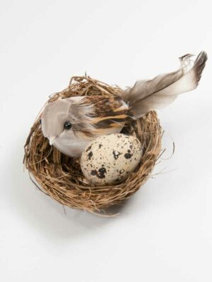 Nestjes, veertjes, haasjes en veel meer, allemaal voor Pasen of het voorjaar