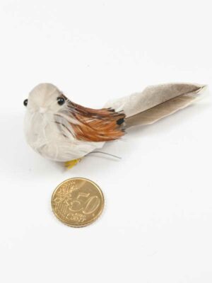 vogeltje naturel vergeleken met 50 ct munt
