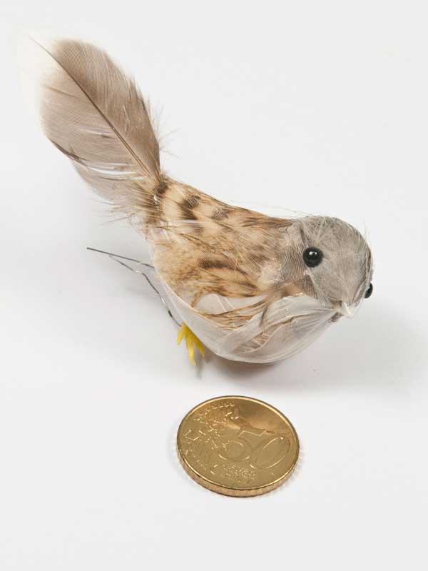 vogeltje voor decoratie vergeleken met 50ct munt