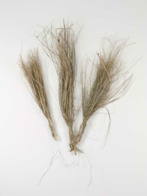 bundeltjes gras