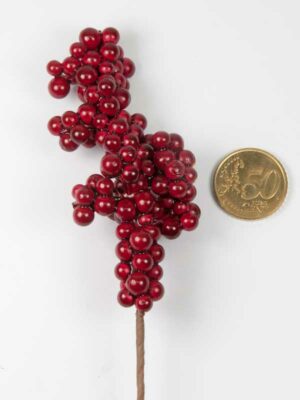 mini besjes op takje rood vergeleken met 50 ct