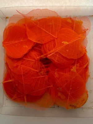 skeletblad oranje in doos met 200 stuks