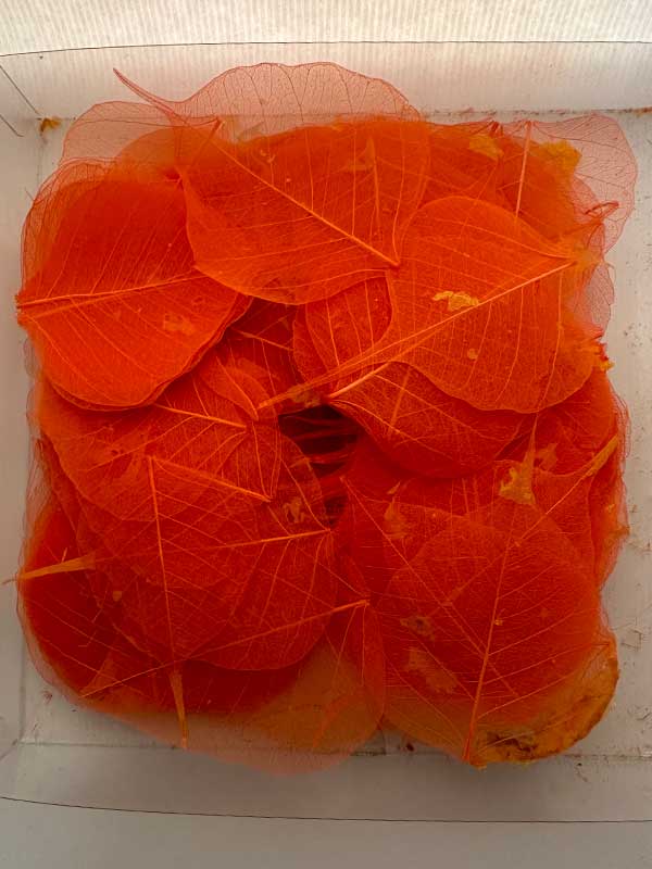 skeletblad oranje in doos met 200 stuks