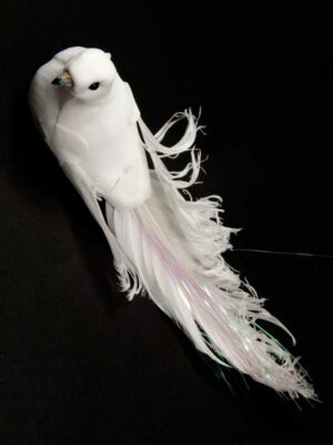 witte vogel met lange staart op clip