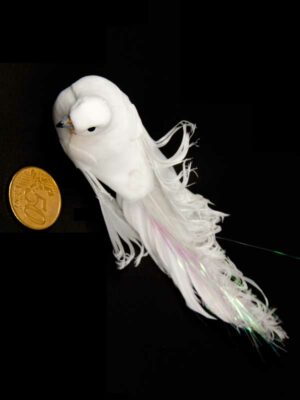 witte vogel met lange staart vergeleken met 50ct munt