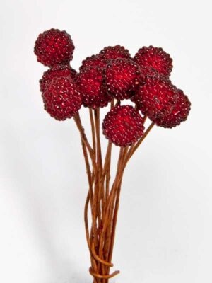 Besjes rood mini bramen bundeltje 12 stuks decoratie