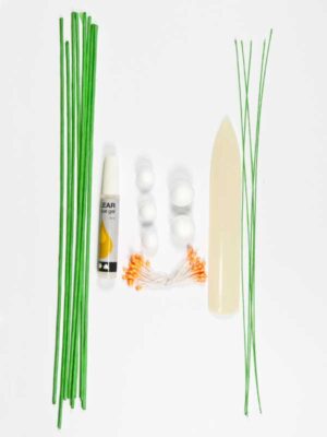 starterset-leren-crepepapier-bloemen-maken-materialen