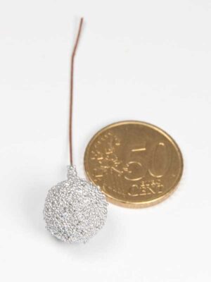 glitter-besje-zilver-vergeleken-met-50-ct-munt-