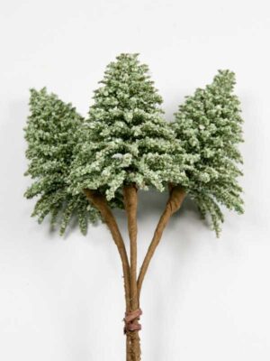 mini-boompje-nobilis-groen