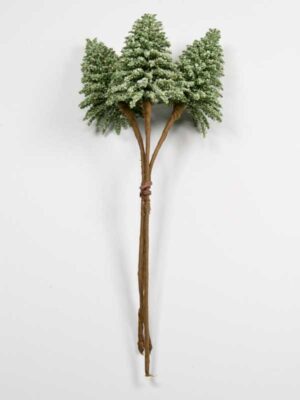 mini-boompje-nobilis-groen