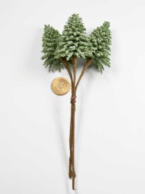 mini-boompje-nobilis-groen-vergeleken-met-50ct