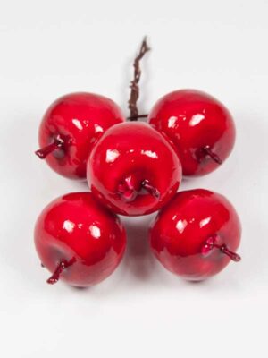 sier-appels-op-draad-rood