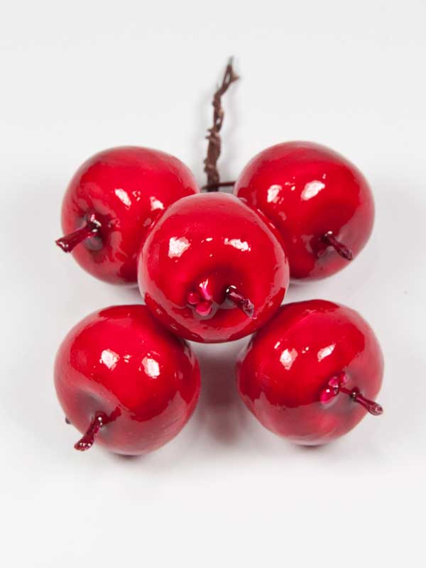 sier-appels-op-draad-rood