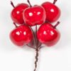 sier appels op draad helder rood