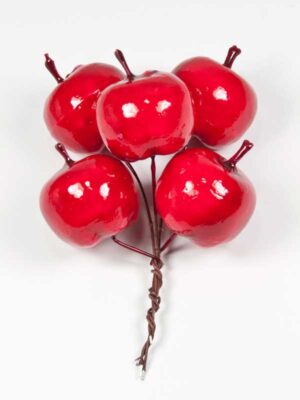 sier appels op draad helder rood