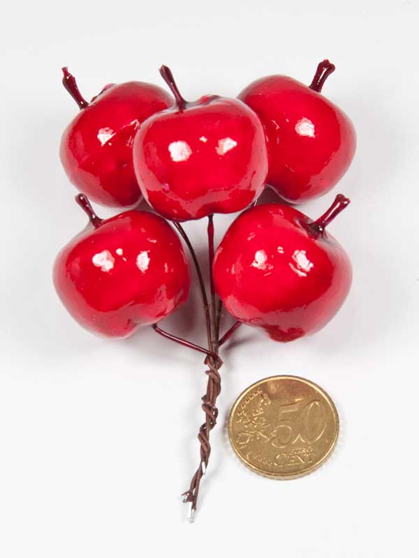 sier-appels-op-draad-rood vergeleken met 50 ct munt
