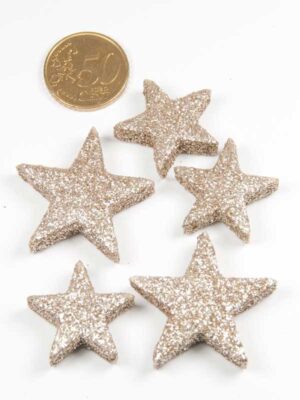 sterren-met-glitter-champagne-setje-vergeleken-met-50ct-munt