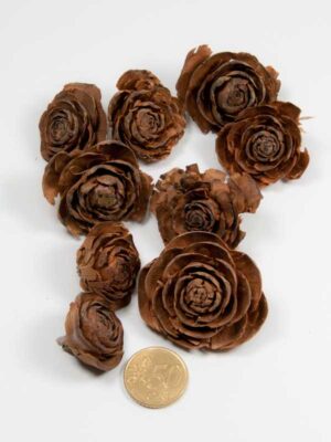 cederroos-mix-vergeleken-met-50ct