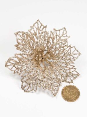 glitterbloem-champagne-op-knijper-vergeleken-met-50-ct-munt-