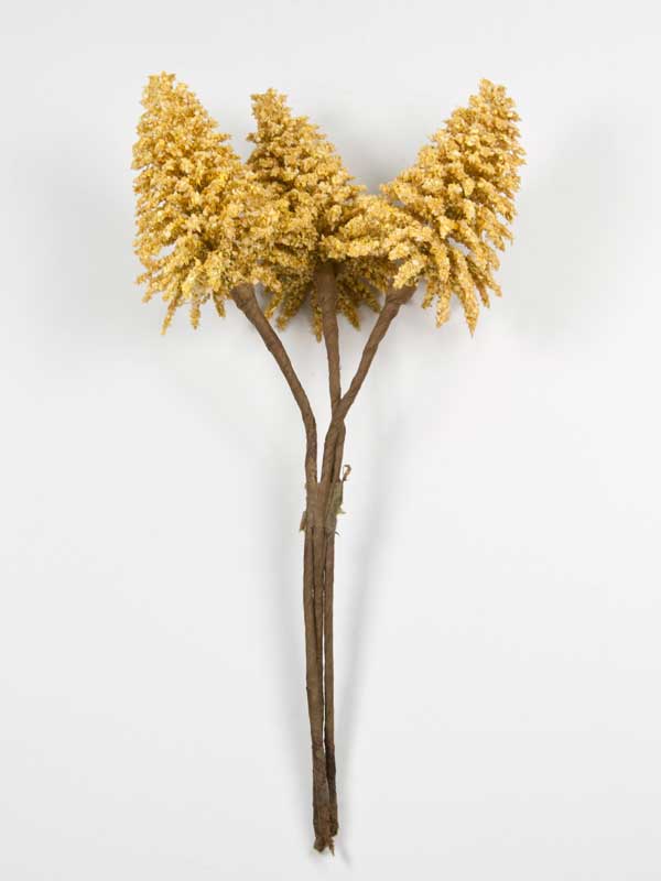 mini-boompje-nobilis-goudkleurig