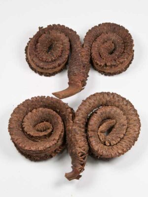 palm-male-ring-dubbel-2-stuks