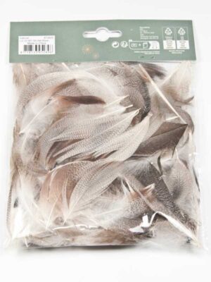 veertjes, grijs net bruine strepen