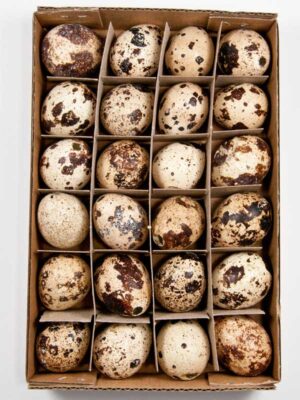 kwarteleitjes-voor-decoratie-doosje-24-stuks